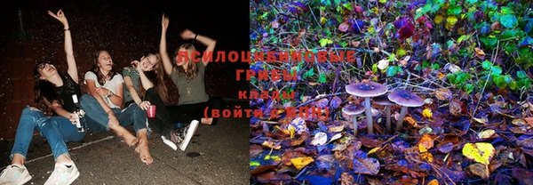 spice Вязьма